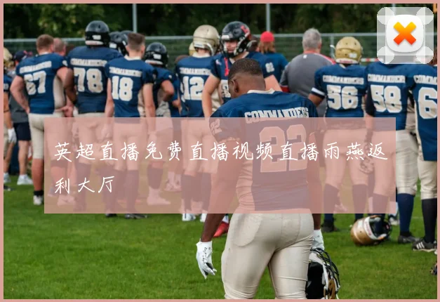 英超直播免费直播视频直播雨燕返利大厅