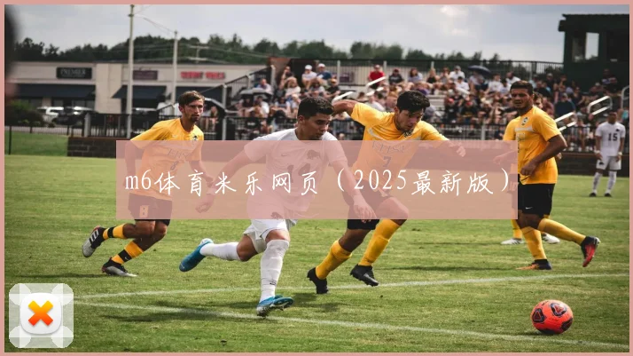 m6体育米乐网页（2025最新版）