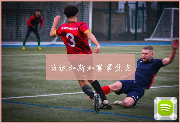 马达加斯加赛事焦点