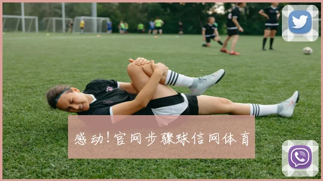 感动!官网步骤球信网体育