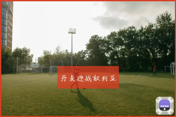 丹麦迎战叙利亚
