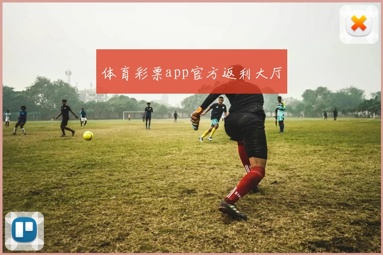 体育彩票app官方返利大厅