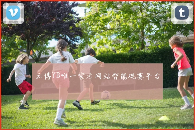 云博YB唯一官方网站智能观赛平台