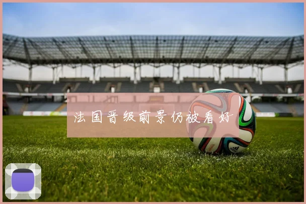 法国晋级前景仍被看好