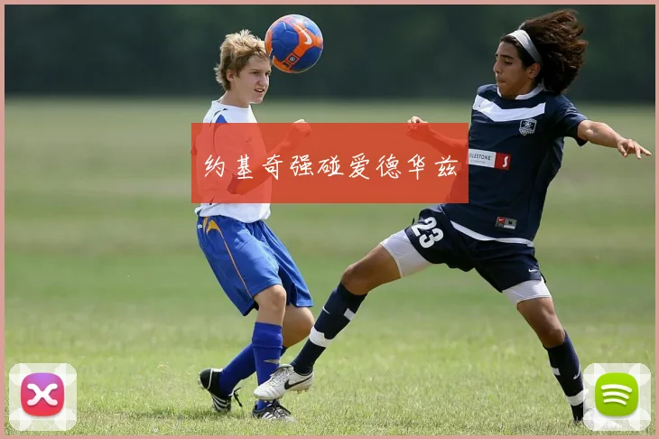 约基奇强碰爱德华兹
