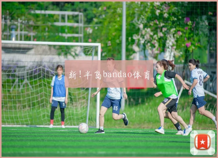 新!半岛bandao体育