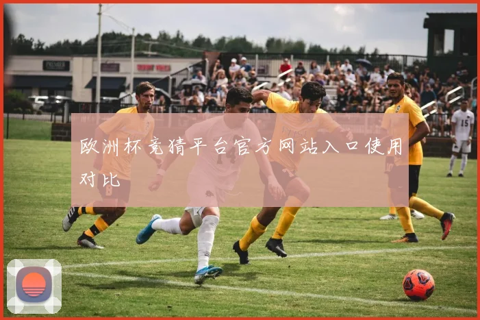 欧洲杯竞猜平台官方网站入口使用对比