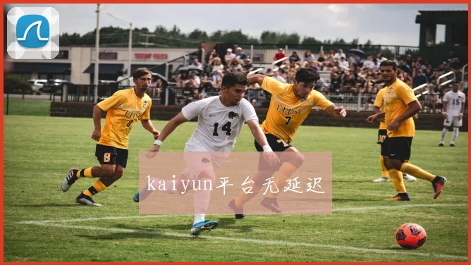 kaiyun平台无延迟