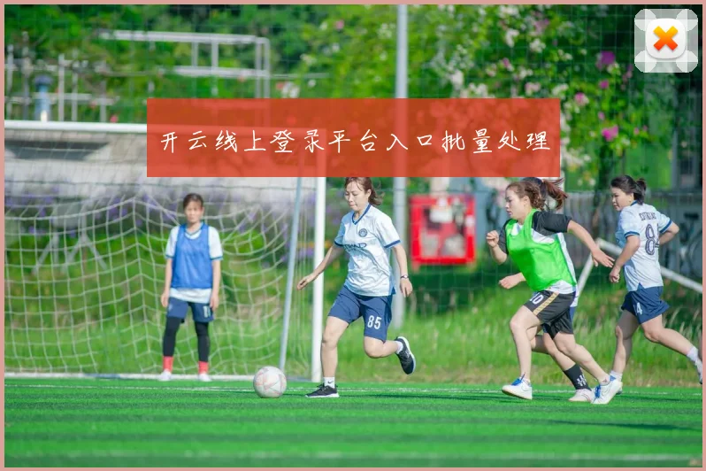 开云线上登录平台入口批量处理