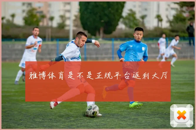 雅博体育是不是正规平台返利大厅