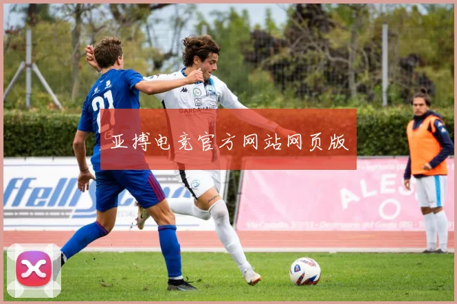 亚搏电竞官方网站网页版