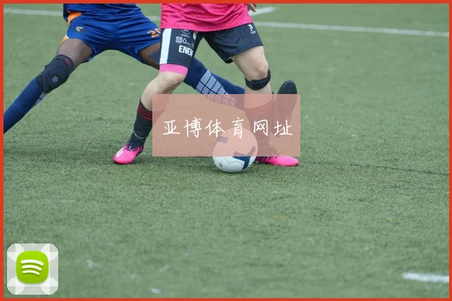 亚博体育网址