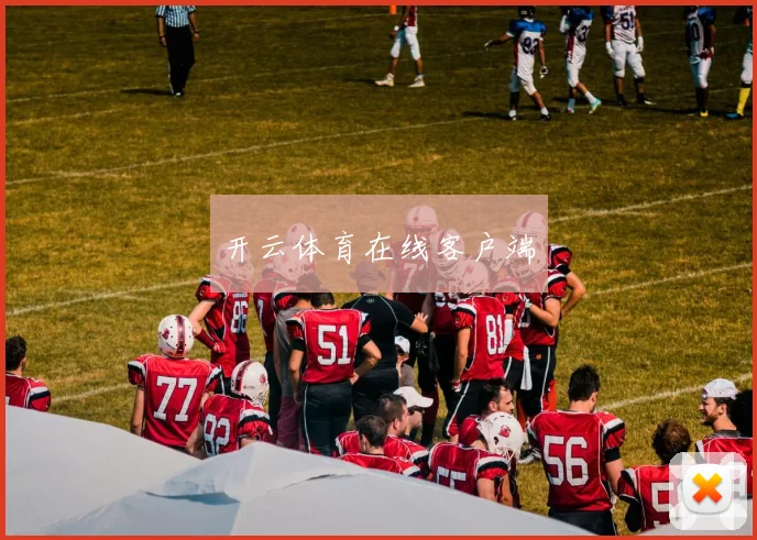 开云体育在线客户端