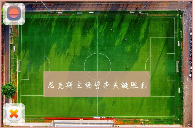 尼克斯主场誓夺关键胜利