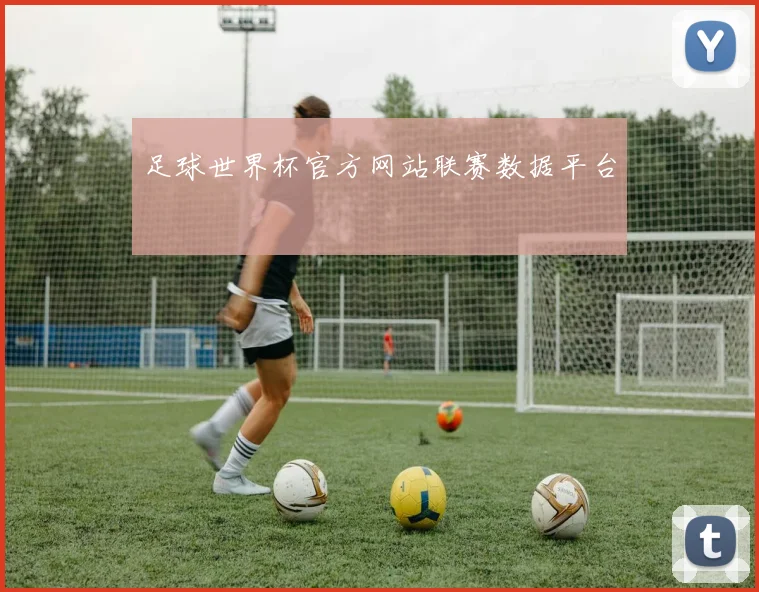 足球世界杯官方网站联赛数据平台
