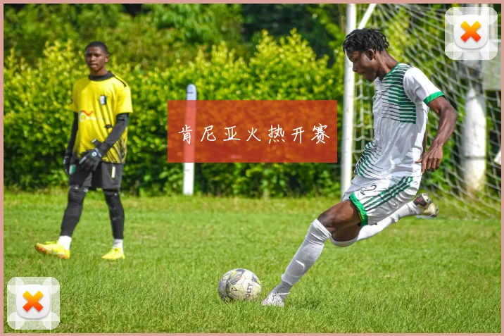 肯尼亚火热开赛