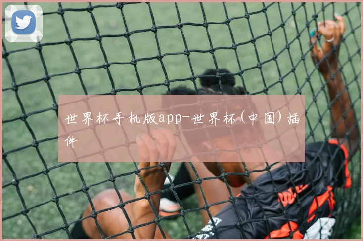 世界杯手机版app-世界杯(中国)插件