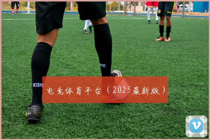 电竞体育平台（2025最新版）