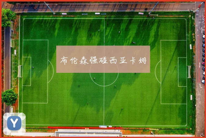 布伦森强碰西亚卡姆