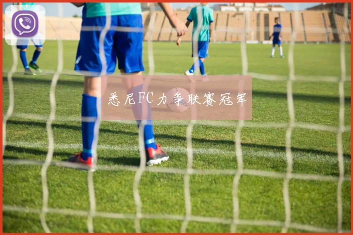 悉尼FC力争联赛冠军