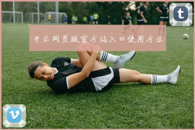 开云网页版官方站入口使用方法