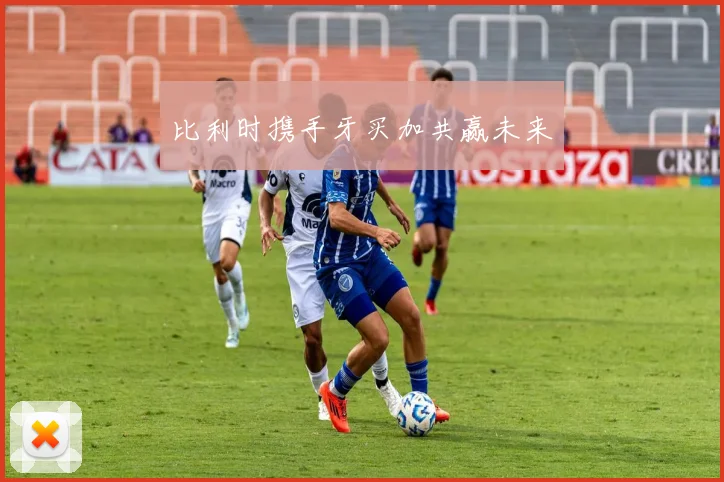 比利时携手牙买加共赢未来