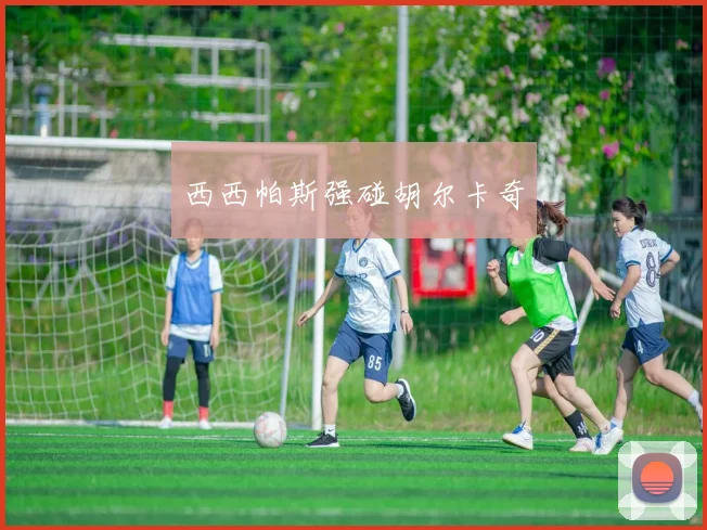 西西帕斯强碰胡尔卡奇