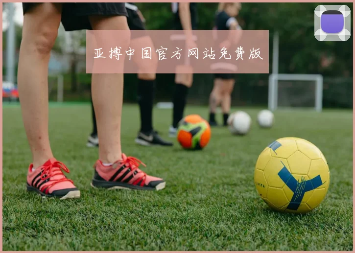 亚搏中国官方网站免费版