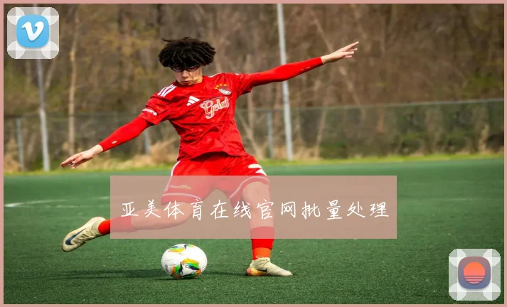 亚美体育在线官网批量处理