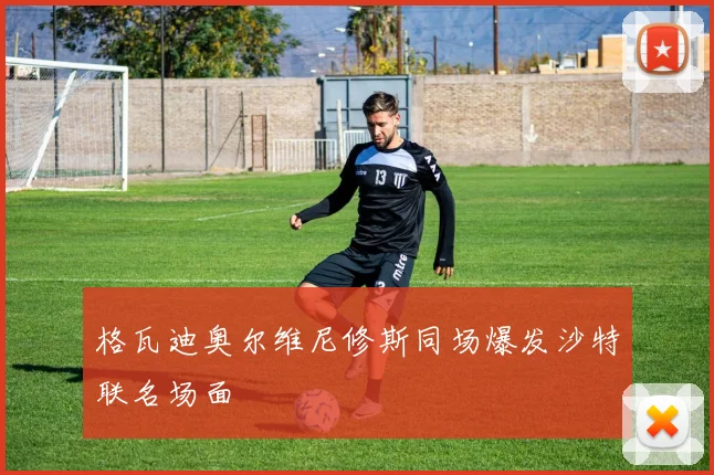 格瓦迪奥尔维尼修斯同场爆发沙特联名场面