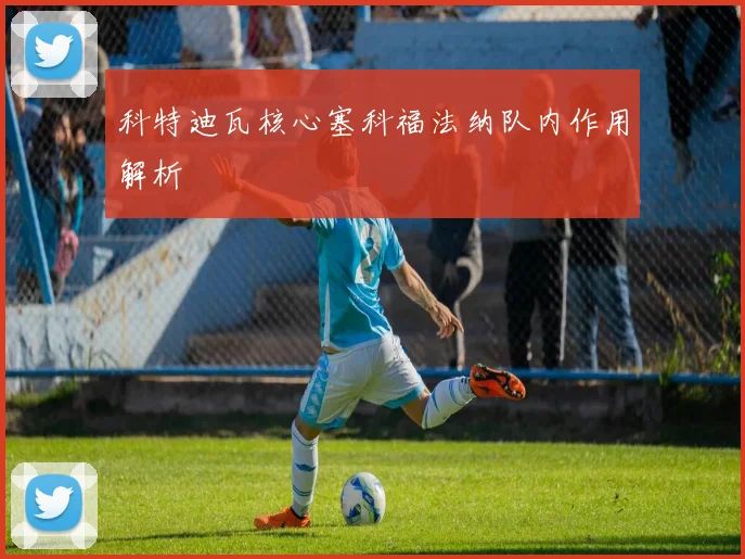 科特迪瓦核心塞科福法纳队内作用解析