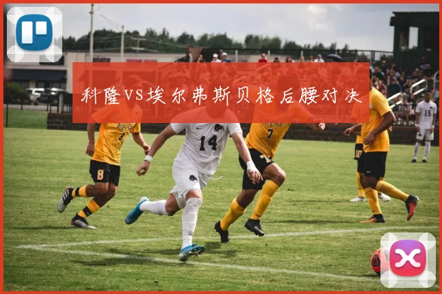 科隆vs埃尔弗斯贝格后腰对决