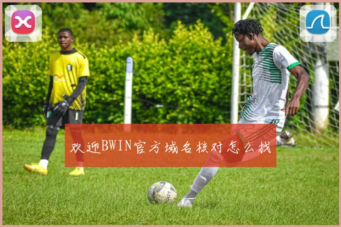 欢迎BWIN官方域名核对怎么找