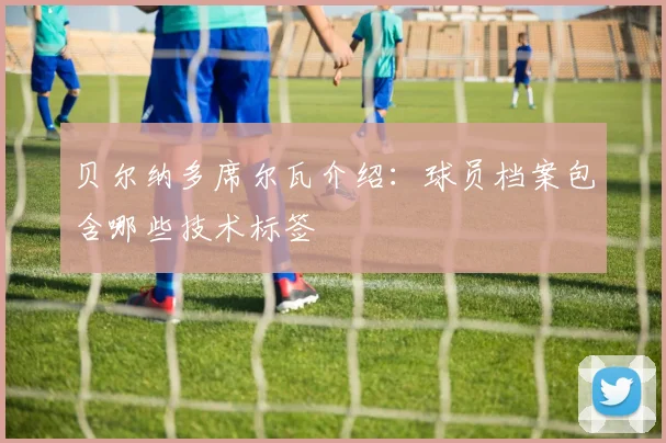 贝尔纳多席尔瓦介绍：球员档案包含哪些技术标签