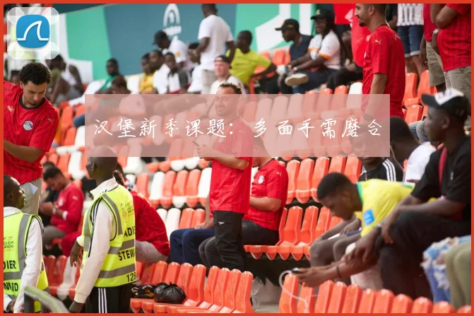 汉堡新季课题:多面手需磨合