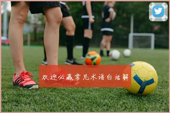 欢迎必赢常见术语白话解